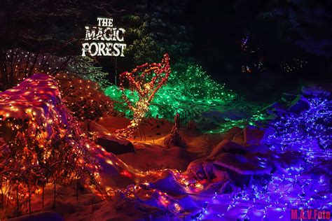 magic forest örebro
